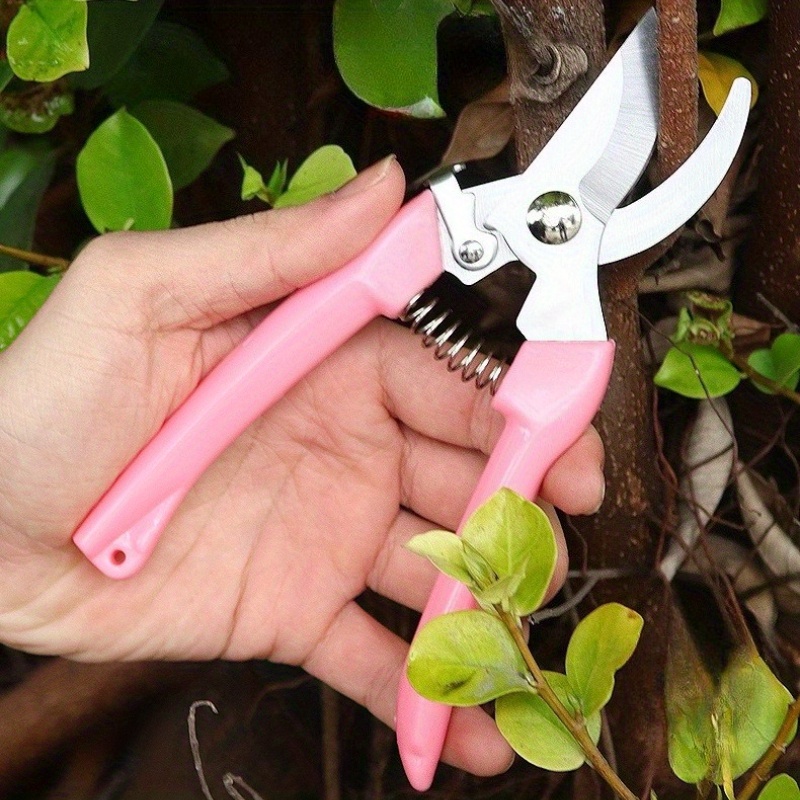 Paquete de 2 tijeras para flor - Pinking Shear Blade reseña y precio